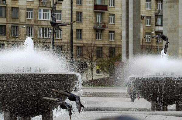 Фонтана „Чаша знања“ у близини зграде Руске Националне библиотеке у Санкт Петербургу. Фонтана „Чаша знања“ у близини зграде Руске Националне библиотеке у Санкт Петербургу. - Sputnik Србија