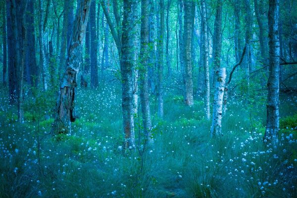 Друго место у посебној категорији "И језиво и лепо", освојила је Катја Мански. Друго место у посебној категорији "И језиво и лепо", освојила је Катја Мански. - Sputnik Србија