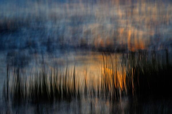 Прво место у категорији "Студио природе" освојила је Катја Мански. Прво место у категорији "Студио природе" освојила је Катја Мански. - Sputnik Србија