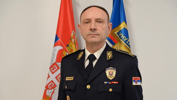 Драган Васиљевић - Sputnik Србија