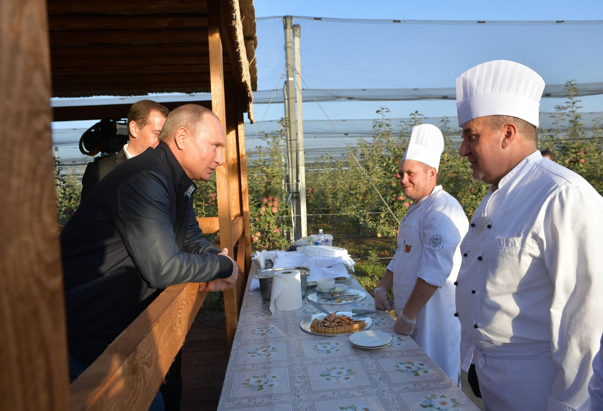 Radna poseta ruskog predsednika Vladimira Putina i Dmitrija Medvedeva Stavropoljskom kraju poljoprivrednom preduzeću Rosvet, 2018. godine - Sputnik Srbija, 1920, 06.05.2025