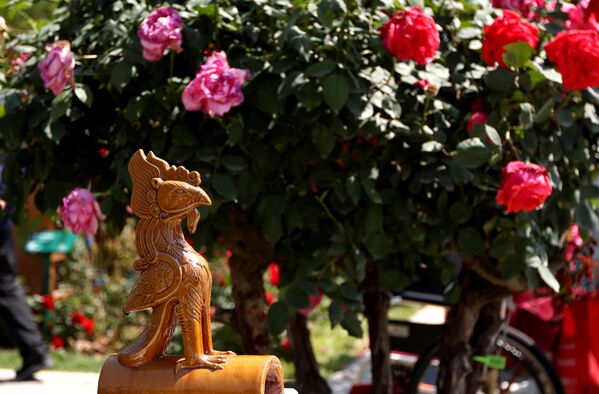 Међународна конференција о ружама у Пекингу - Sputnik Србија