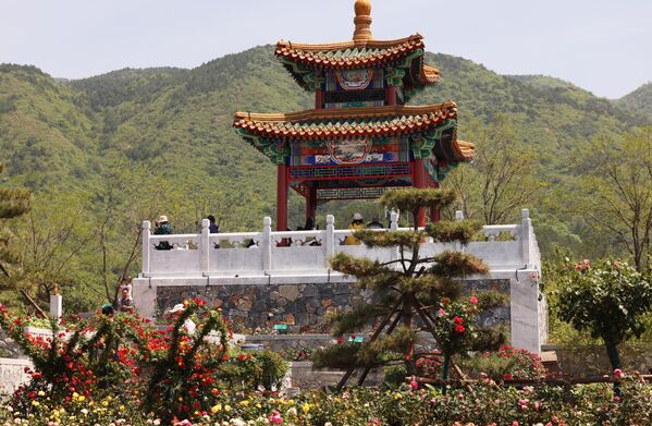 Међународна конференција о ружама у Пекингу - Sputnik Србија