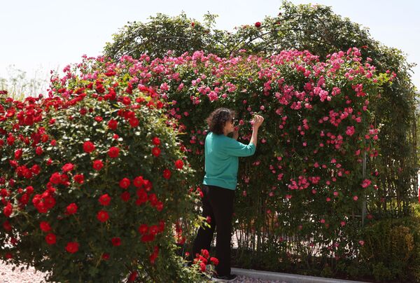 Међународна конференција о ружама у Пекингу - Sputnik Србија