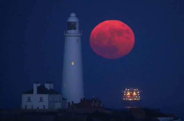Пун месец, познат и као Цветни месец, издиже се изнад светионика Свете Марије у заливу Витли на североисточној обали Енглеске. Пун месец, познат и као Цветни месец, издиже се изнад светионика Свете Марије у заливу Витли на североисточној обали Енглеске. - Sputnik Србија