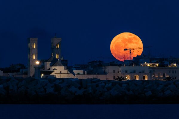„Цветни Месец“ у близини катедрале Молфета у Молфети, Италија. „Цветни Месец“ у близини катедрале Молфета у Молфети, Италија. - Sputnik Србија