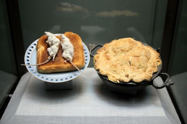 Мишеви на тосту и пита од мишева лече мокрење у кревет, инконтиненцију и муцање. Овај експонат се помиње у поднаслову Вешлерове књиге о Музеју технике из доба јуре у Лос Анђелесу, Калифорнија. Мишеви на тосту и пита од мишева лече мокрење у кревет, инконтиненцију и муцање. Овај експонат се помиње у поднаслову Вешлерове књиге о Музеју технике из доба јуре у Лос Анђелесу, Калифорнија. - Sputnik Србија