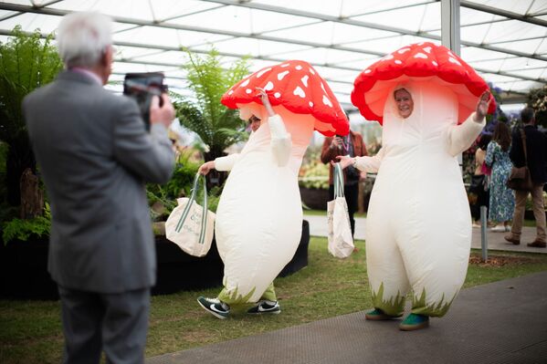 Број посетилаца изложбе је  ограничен због величине простора, а цена карата, на дан отварања код препродаваца, може  достићи и хиљаду фунти. - Sputnik Србија