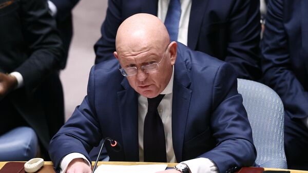 Стални представник Русије у УН Василиј Небензја - Sputnik Србија