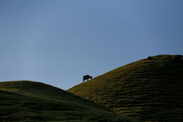 „Саилунг“ се преводи као 100 брда, и они су смештени на надморској висини од око 3.100 метара. - Sputnik Србија