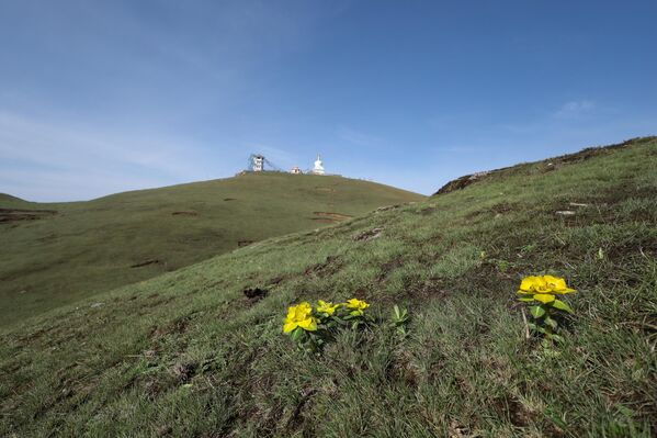 Биљке на великим надморским висинама на „Саилунга“. - Sputnik Србија