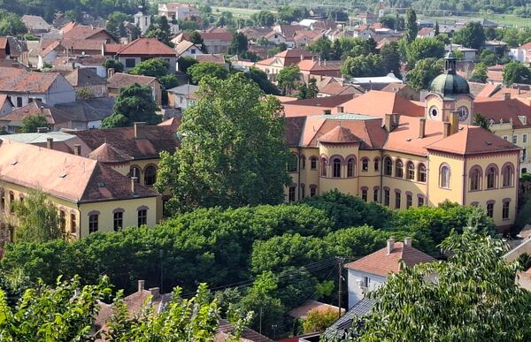У Карловцима је 1698-1699. године одржан познати Карловачки мировни конгрес, на којем је Русија по први пут наступила на међународној арени не само као пуноправни учесник мултилатералних преговора о миру и безбедности у Европи, већ и као заступница интереса православног становништва територије, коју су поделили Аустријанци и Турци - Sputnik Србија