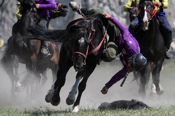 Састав тимова у кок бору – 16 особа: 12 играча, 1 тренер, 3 коњушара. - Sputnik Србија