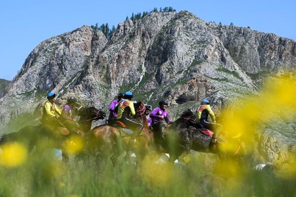 У такмичењима могу учествовати спортисти старији од 18 година. Сви учесници такмичења су мушкарци. Тимови могу учествовати у такмичењу ако имају најмање 8 играча. - Sputnik Србија