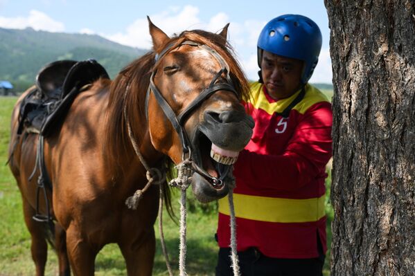 Такмичења се одржавају по важећим правилима Федерације Кок Бору Републике Киргистан. - Sputnik Србија