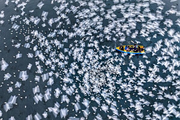Аутор из Бангладеша, Мушфикул АламСпокојство у покрету Аутор из Бангладеша, Мушфикул АламСпокојство у покрету - Sputnik Србија
