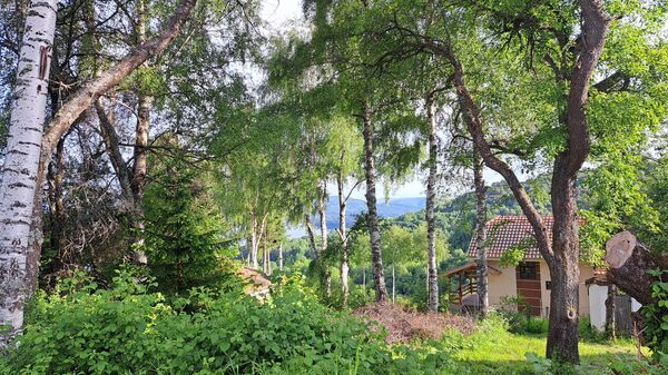 Србија - илустрација - Sputnik Србија