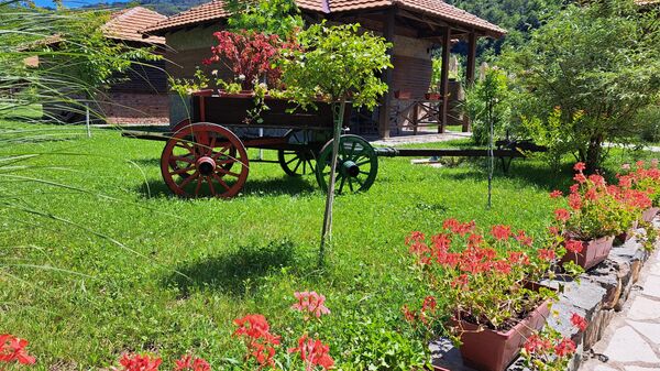 Девојка којој је песма предвидeла судбину