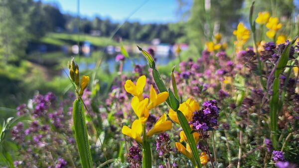 Србија - илустрација - Sputnik Србија