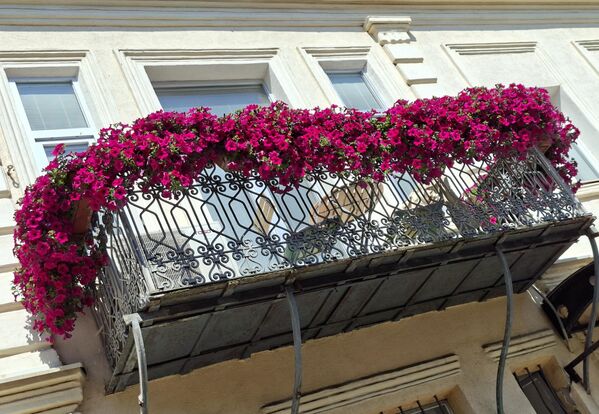 Словенски назив града Битола потиче од речи Обител која је у средњем веку коришћена за манастирско братство, односно заједницу монаха. Временом су Словени заборавивши своју реч, из Обител престали да изговарају глас О, па је управо то разлог што се град назива Битољ на српском, Битола на македонском, Битоля Битоља на бугарском.  - Sputnik Србија