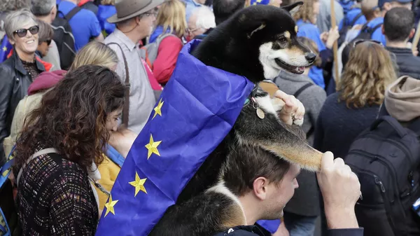 Pas sa zastavom EU - Sputnik Srbija