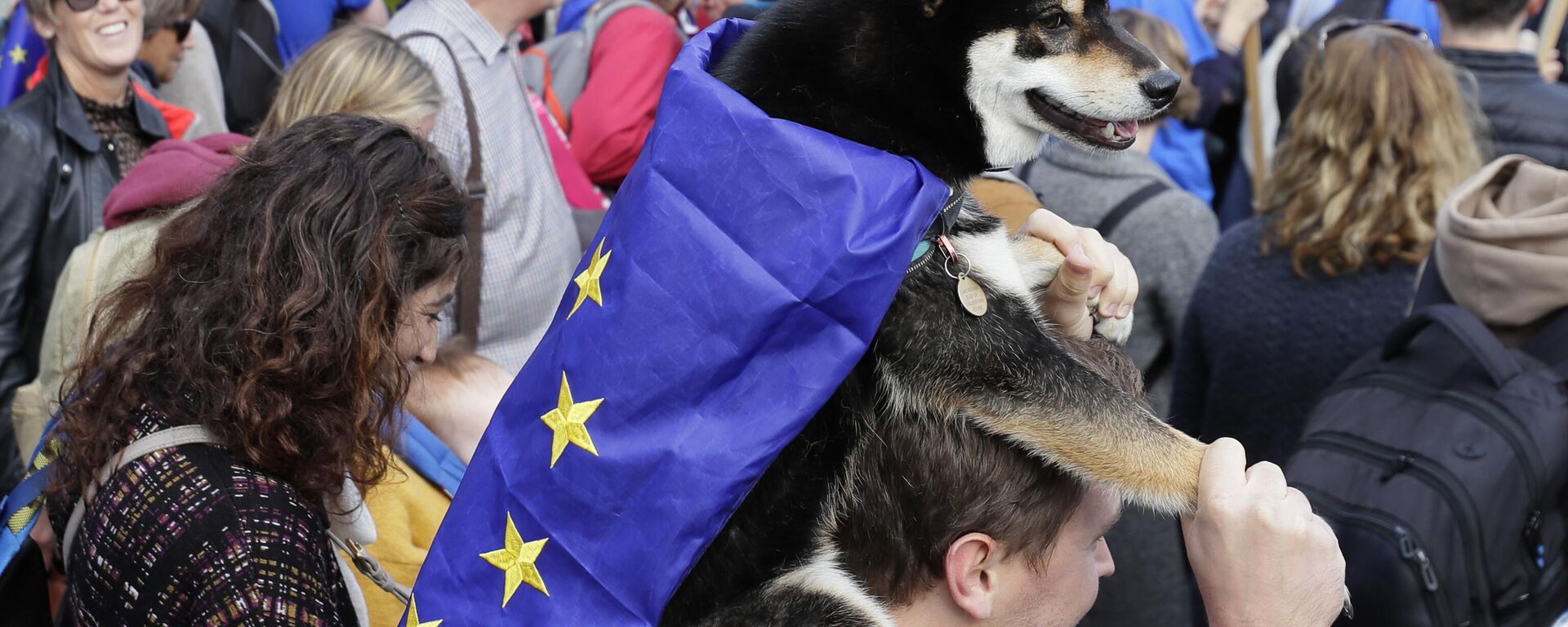 Pas sa zastavom EU - Sputnik Srbija, 1920, 20.06.2025
