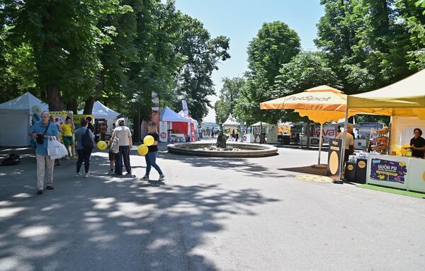 Фестивал паса свих раса „Улични пси” се одржава на платоу код фонтане „Рибар”  на Калемгдану  - Sputnik Србија