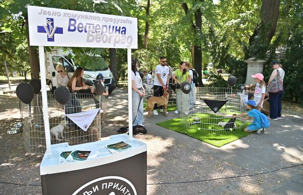 Фестивал паса свих раса „Улични пси” - Sputnik Србија