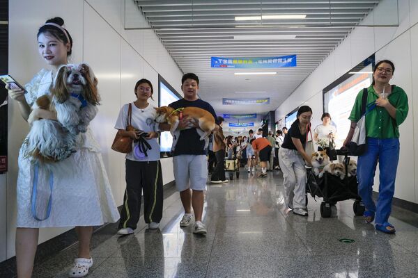 Воз саобраћа на линији  Ђинидонг у кинеској провинцији Џеђанг. - Sputnik Србија