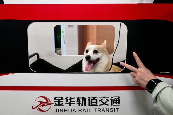 Неко овде једва чека да крене... - Sputnik Србија