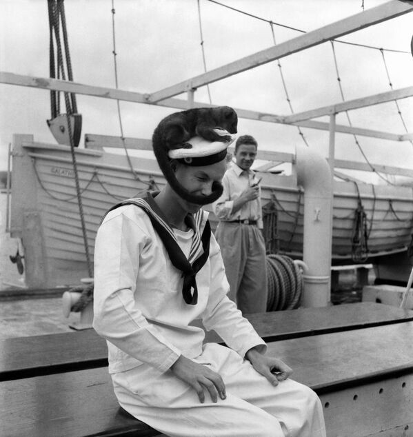 Савремена логистика и снабдевање не би били могући без непрекидног ангажмана људи који плове морима и рекама. - Sputnik Србија