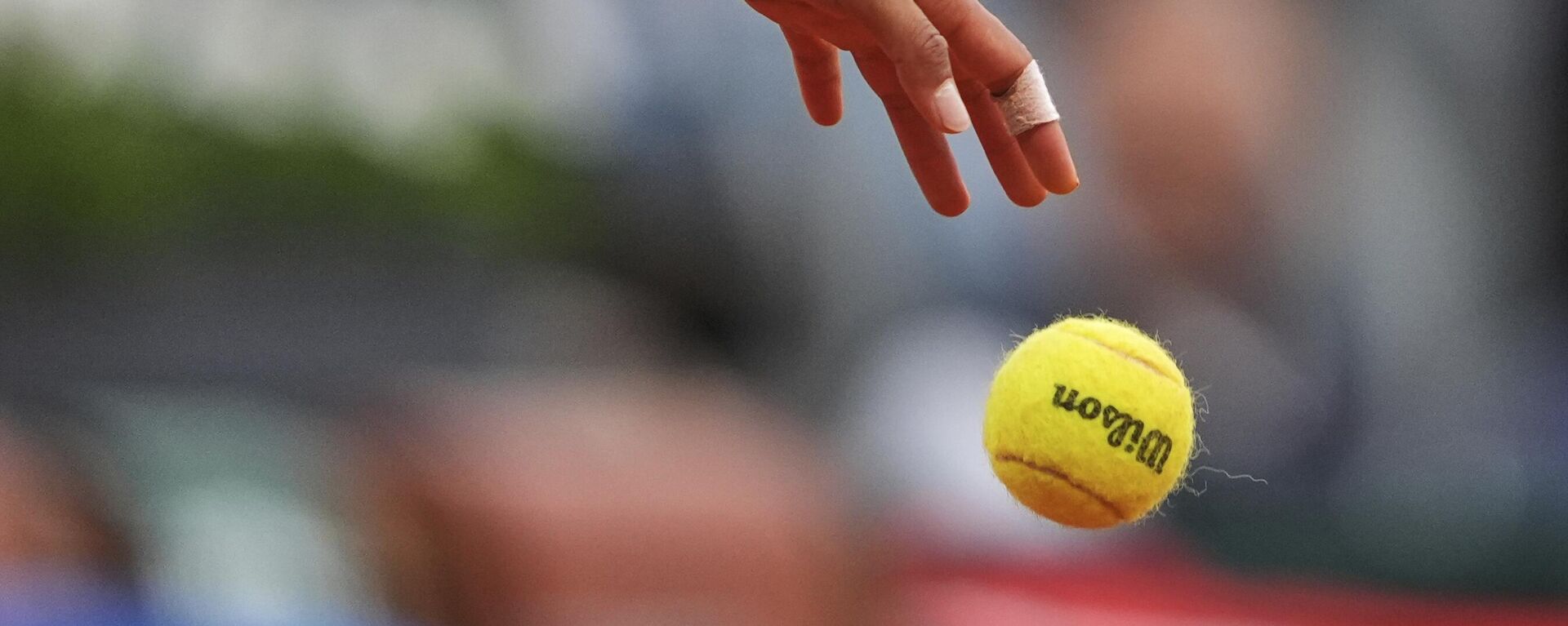 Teniska loptica - Sputnik Srbija, 1920, 09.09.2025