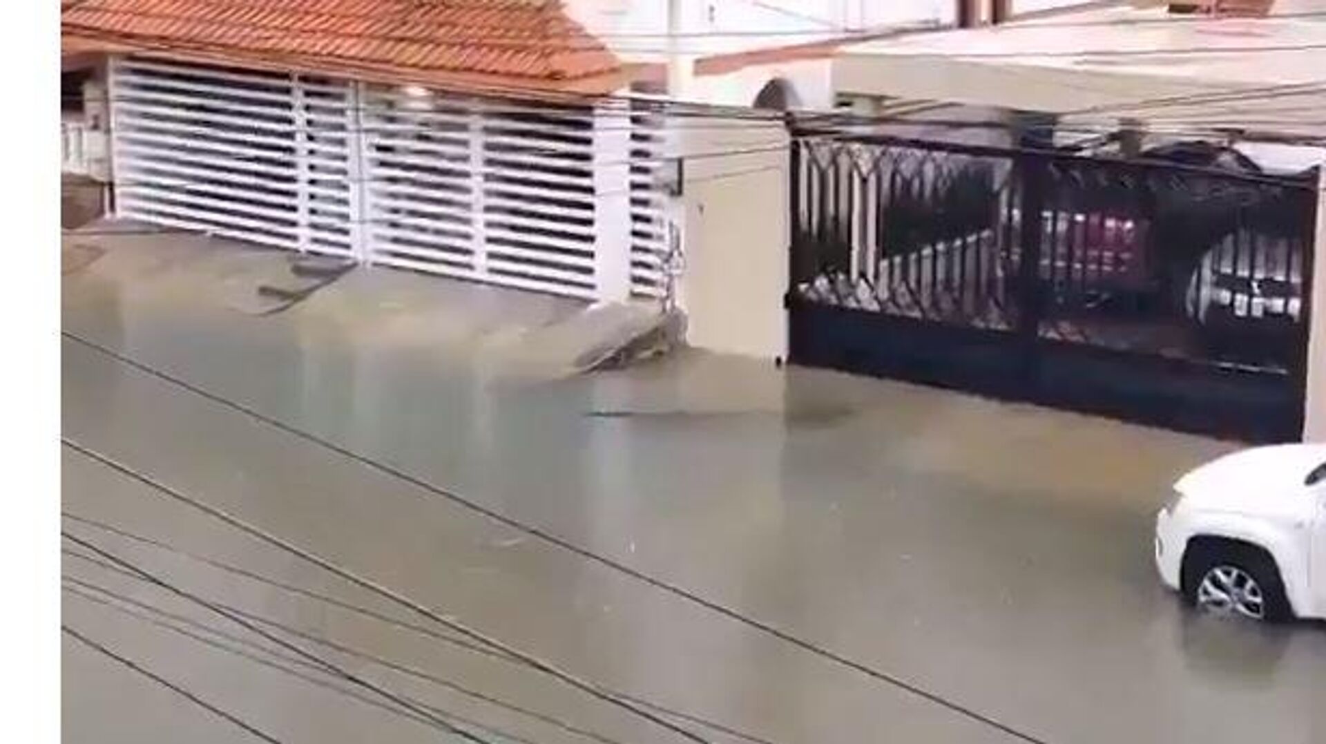 Киша у Максику Киша у Максику - Sputnik Србија, 1920, 27.06.2025