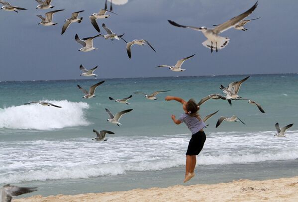 Дете се игра са галебовима на плажи у Плаја дел Кармену, Мексико, октобар 2011. - Sputnik Србија