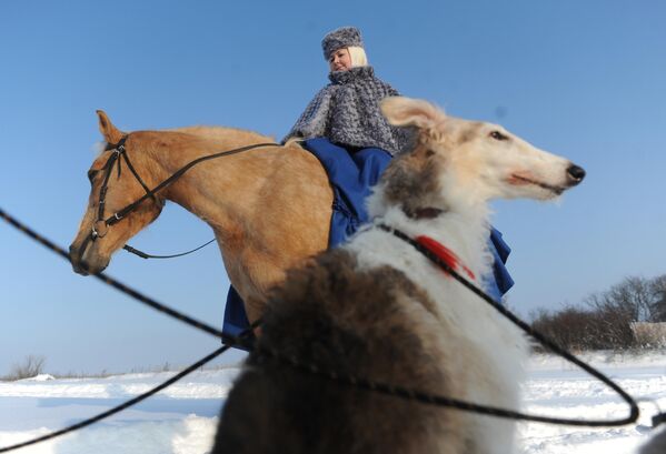 Руски обичај. Историјска реконструкција лова са псима. - Sputnik Србија