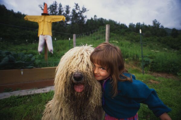 Петогодишња девојчица позира са својим комондором (мађарска пастирска врста паса) у дворишту своје куће. - Sputnik Србија