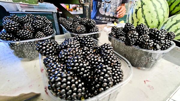 Припремљен правилник за означавање хране „100% из Србије“