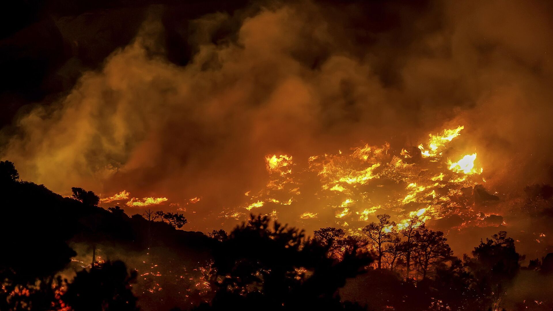 Пожар на Криту Пожар на Криту - Sputnik Србија, 1920, 03.07.2025