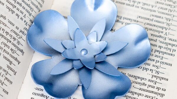 Гвоздени цвет Кристине Омарементерије - Sputnik Србија