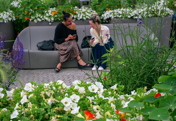 У овом граду налази се и један од најлепших и најпознатијих музеја на свету - Ермитаж, са више од три милиона уметничких дела смештених у чак шест музејских здања, односно 350 соба.  - Sputnik Србија