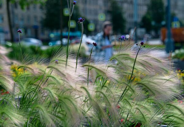 После Москве, Санкт Петербург је други по броју становника, и други по важности економски, индустријски, научни и културни центар Руске Федерације. - Sputnik Србија