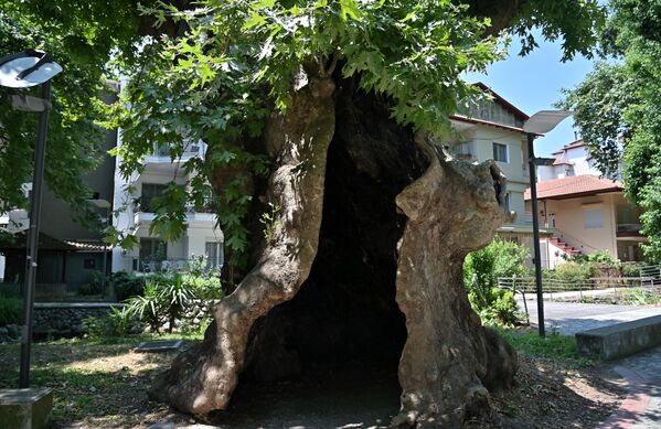 Воден је у 14 веку, пуних 40 година био под влашћу цара Душана, да би 1386. године пао под власт Османлија - Sputnik Србија