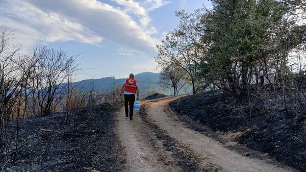 Požar u Srbiji - Sputnik Srbija