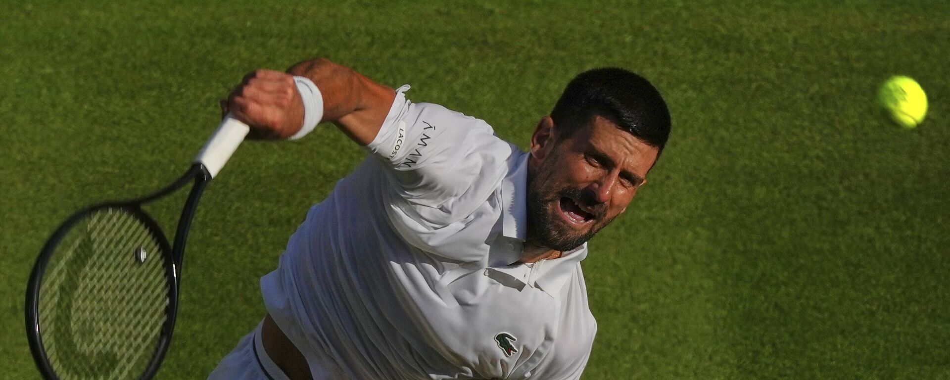 Новак Ђоковић - Sputnik Србија, 1920, 13.07.2025