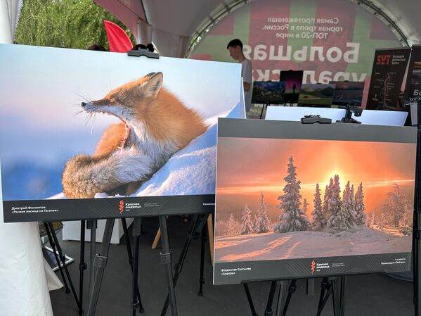 Део поставке на Фестивалу „Чуда Русије“. - Sputnik Србија