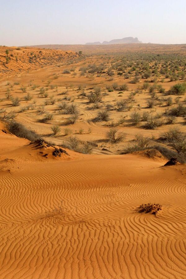 Вади ел Фаја у Уједињеним Арапским Емиратима. - Sputnik Србија