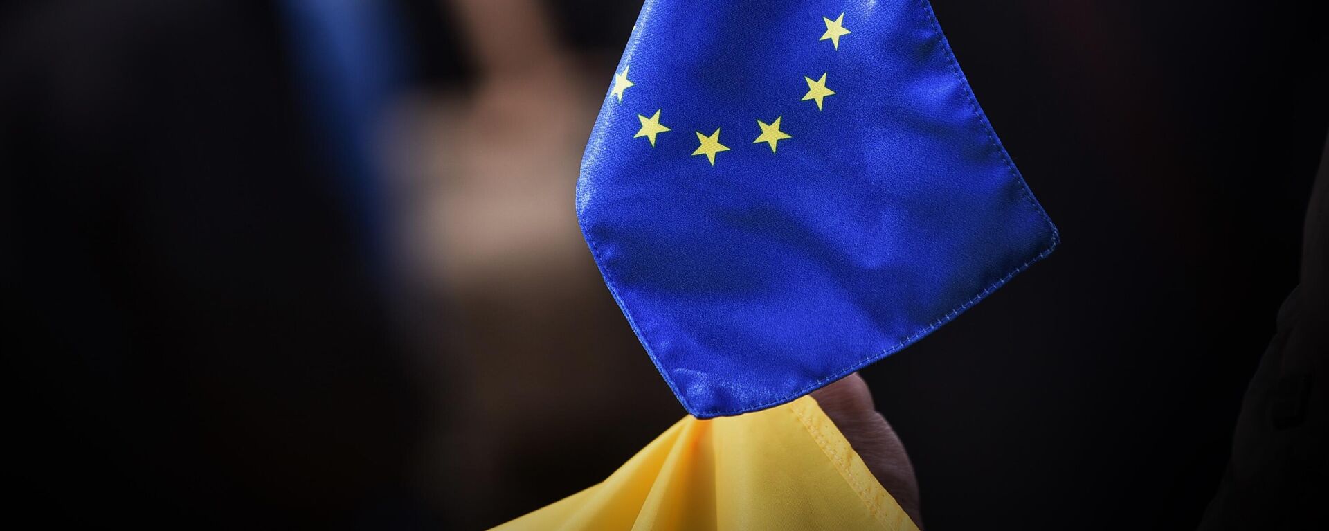  Zastava EU na skupu podrške Ukrajini - Sputnik Srbija, 1920, 09.08.2025