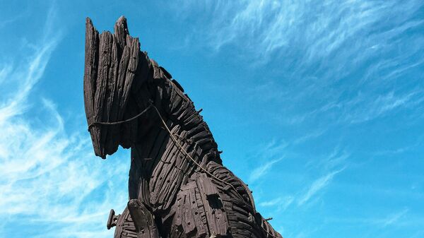 Trojanski konj - Sputnik Srbija