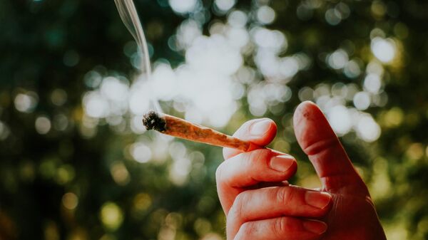 džoint - Sputnik Srbija