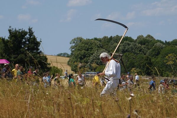„Данас то раде најсавременије косачице, могли смо да видимо тракторе са косачицама. Сада постоје батеријске косачице и косидба иде врло лако, али да се не би заборавило како је то био важан и тежак посао, организују се манифестације попут косидбе на Рајцу“, казао је Ивановић. - Sputnik Србија